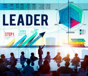 Executive leadership development